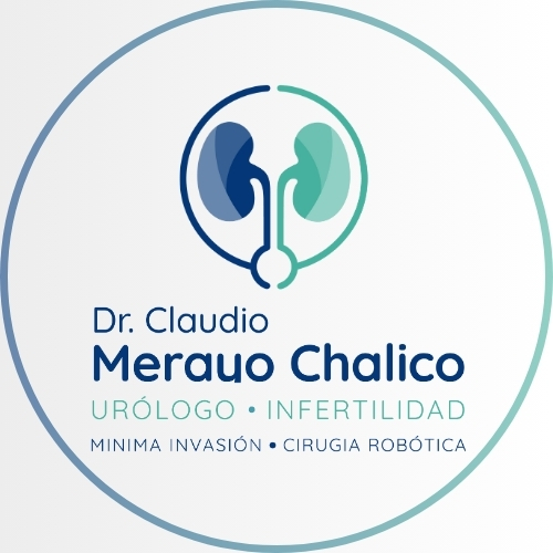 Dr. Claudio Enrique Merayo Chalico